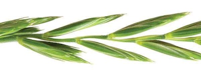 shutterstock_107726351