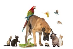 Pets Total Landscape Care