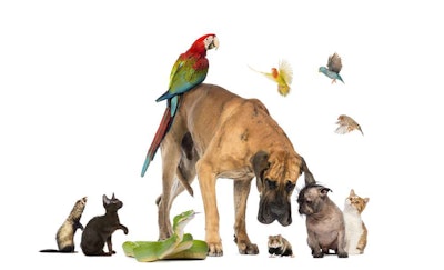 Pets Total Landscape Care