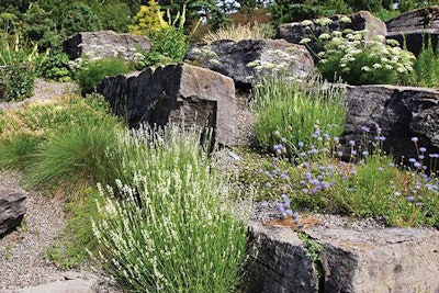 Shutterstock 5846500