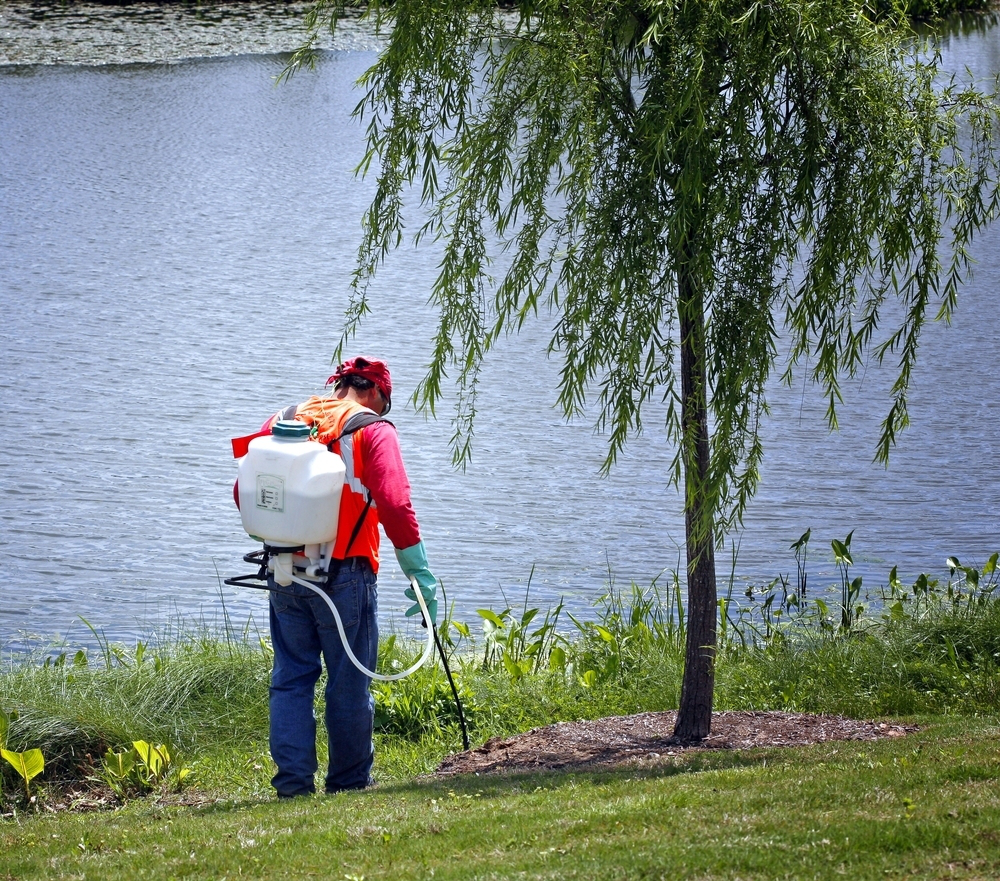 shutterstock_69619906