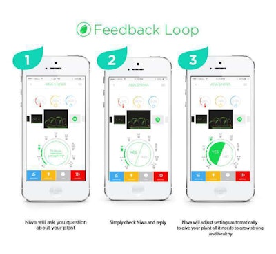 2d1e2ae3abf9d010352b15faa9842cc0 Large