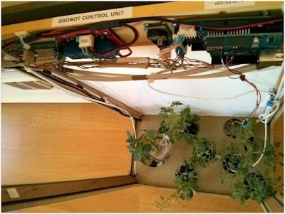 42e0a889e3f670570da8f958db450c8a Large