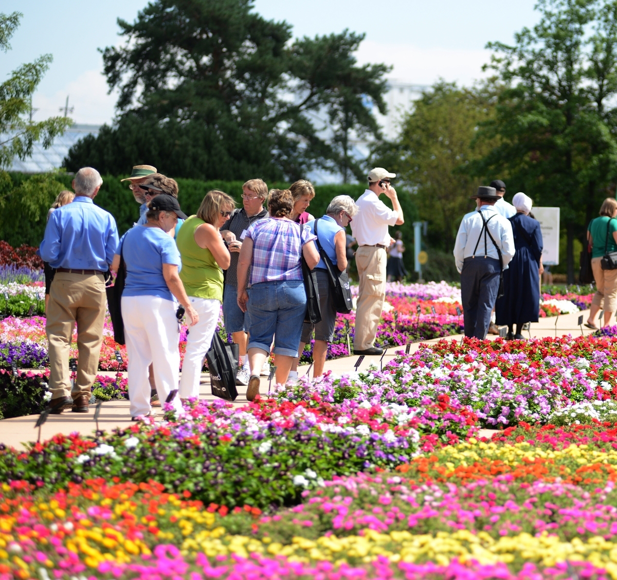 Ball Field Day Trials
