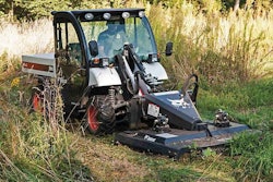 Bobcat Brushcat