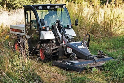 Bobcat Brushcat