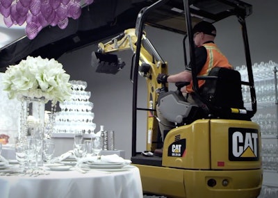 Cat China Shop Tlc Magazine