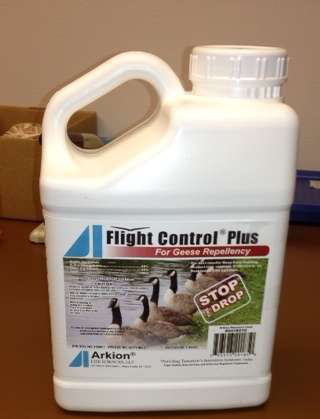 Flight Control Plus Tlc Magazine