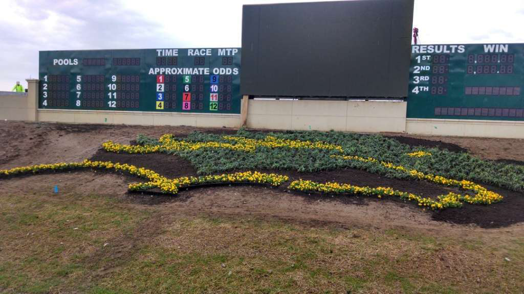 Hyde Park Landscaping