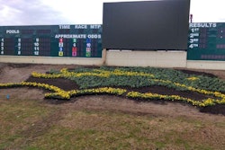 Hyde Park Landscaping