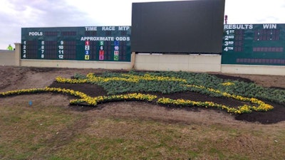 Hyde Park Landscaping