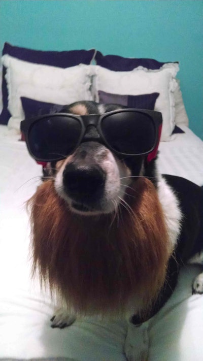 Jasper Photo: Amy Materson, Managing Editor for sister magazine Equipment World