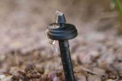 Irrigation