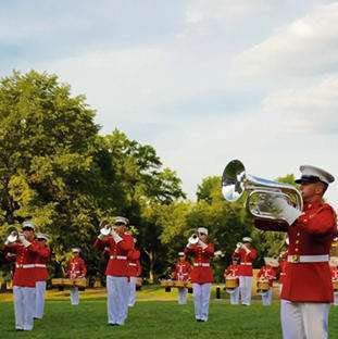 June 29 Tree Planting Event Sized Large