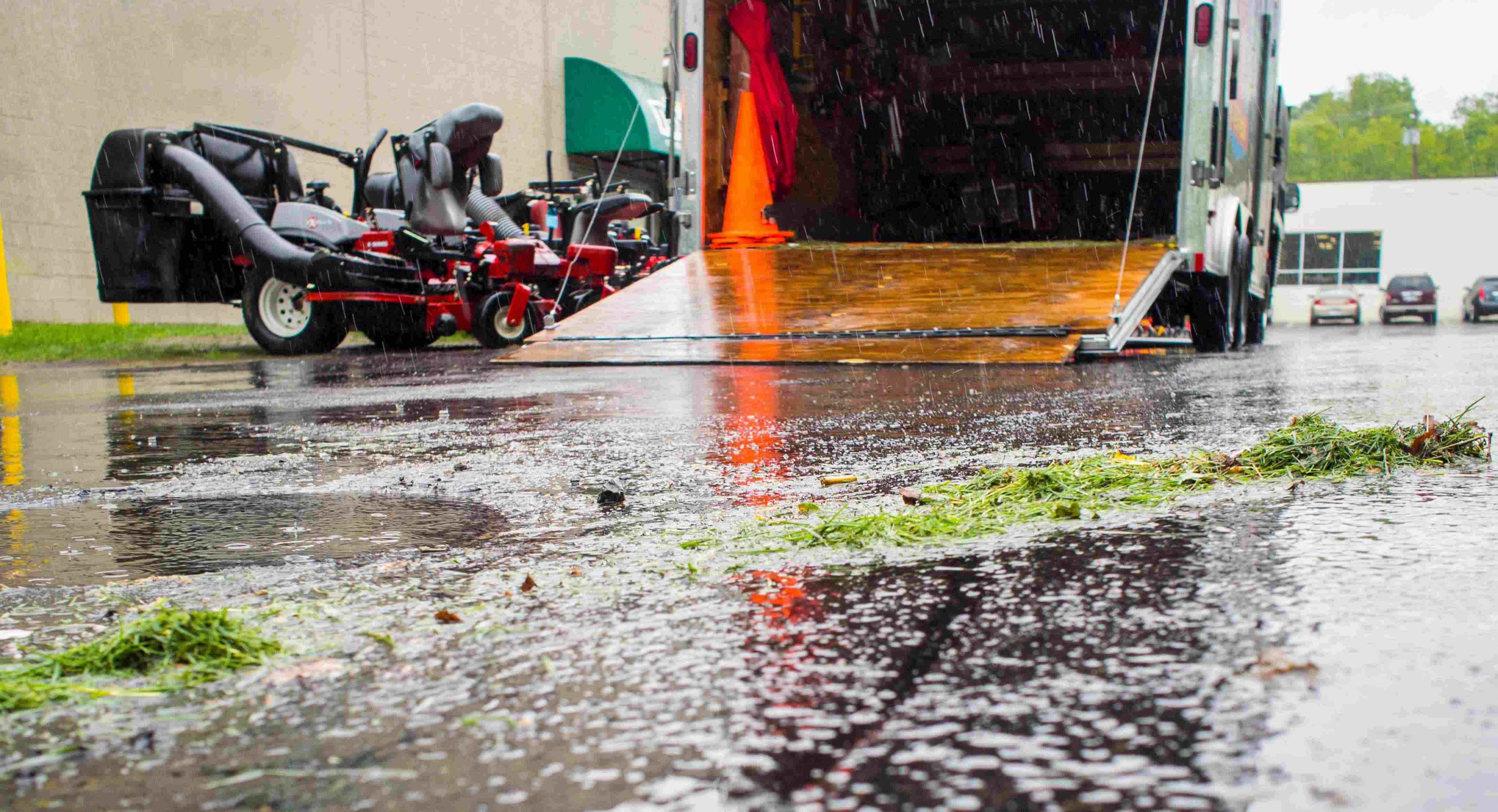 olympus-digital-camera-8