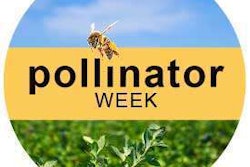 Pollinator Week Tlc Magazine