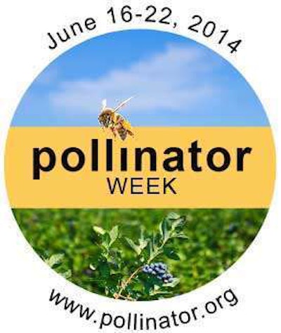 Pollinator Week Tlc Magazine