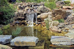 The Garden Artist created a waterfall that spills into a fishpond, which is flanked by a walkway of stones that appear to float above the water.