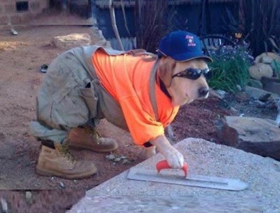 And you said it would be hard to find a loyal employee.