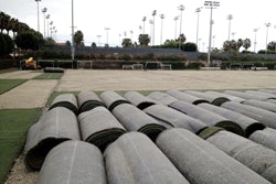 Shaw Sports Turf