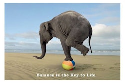 Work Life Balance TLC