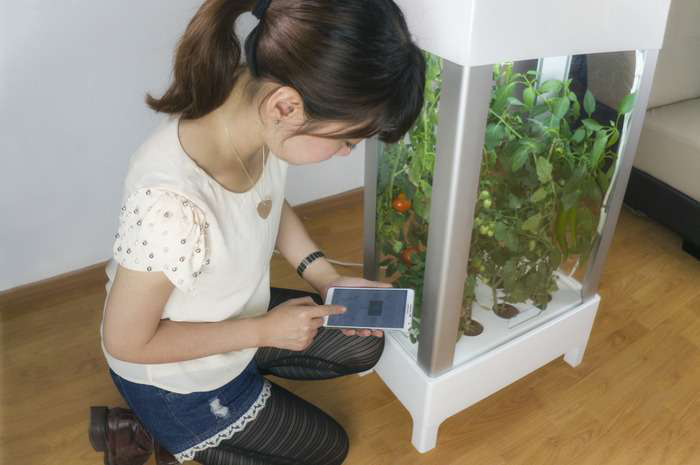 C22f4a0d4fc2a36c9ad6c9913c1d2729 Large