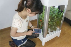 C22f4a0d4fc2a36c9ad6c9913c1d2729 Large