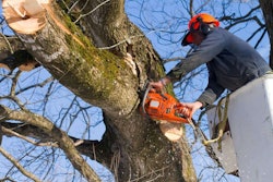 Shutterstock 89598097