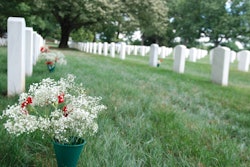 Cemetery Flowers