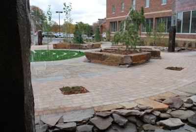 Portfolio School TLC