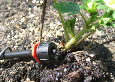 Drip Irrigation