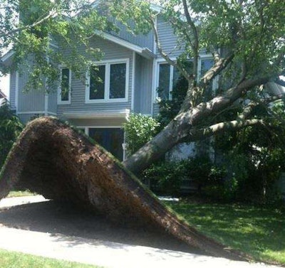 10603505 10152565033139034 5457911231524687118 N