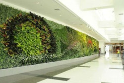Birmingham Garden Wall