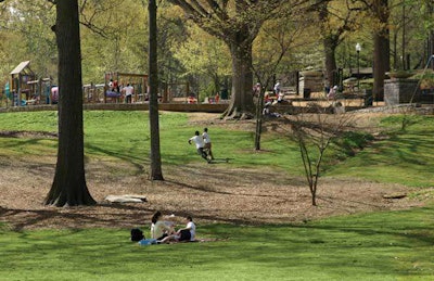 Photo: Trees Atlanta