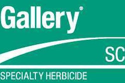 Gallery Sc