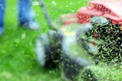 Grass Clippings TLC