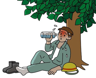Heat Stress Tlc