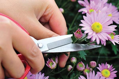 Shutterstock 124961723