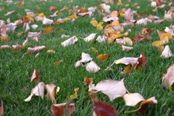 fall-maintenance_tlc-magazine