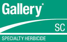 Gallery Sc Usa 05 No Diamond 4 C