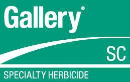 Gallery Sc Usa 05 No Diamond 4 C