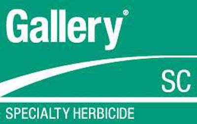 Gallery Sc Usa 05 No Diamond 4 C