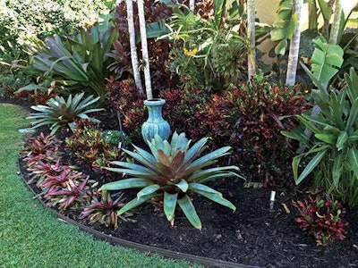 Because there is little soil in the Key Largo area, Reef Tropical uses natural resources like cap rock and local vegetation on its landscape designs.