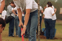 Urban Tree Planting