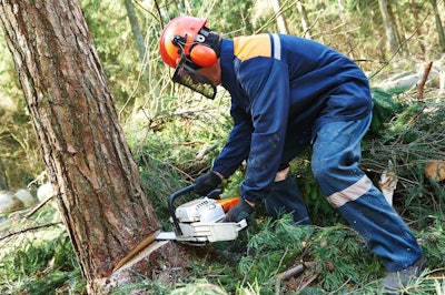 Shutterstock 185695109