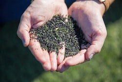 Artificial Turf