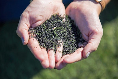 Artificial Turf