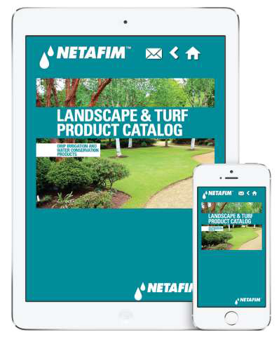 Catalog App Image