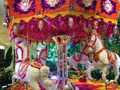 Flower Carousel Wynn