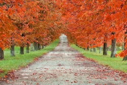 transition-to-fall_tlc